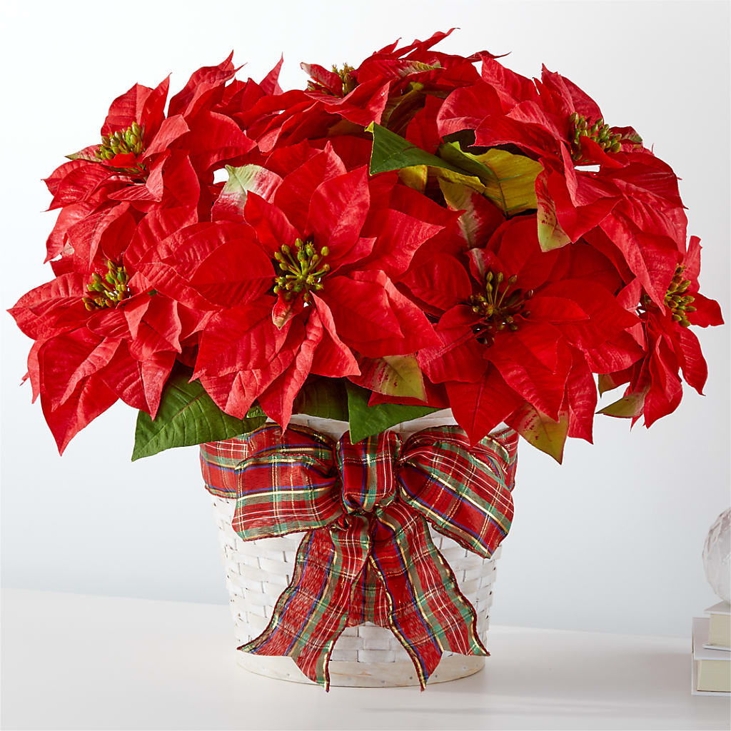 Happiest Holidays Poinsettia – Ros-al Floral, Forest City PA