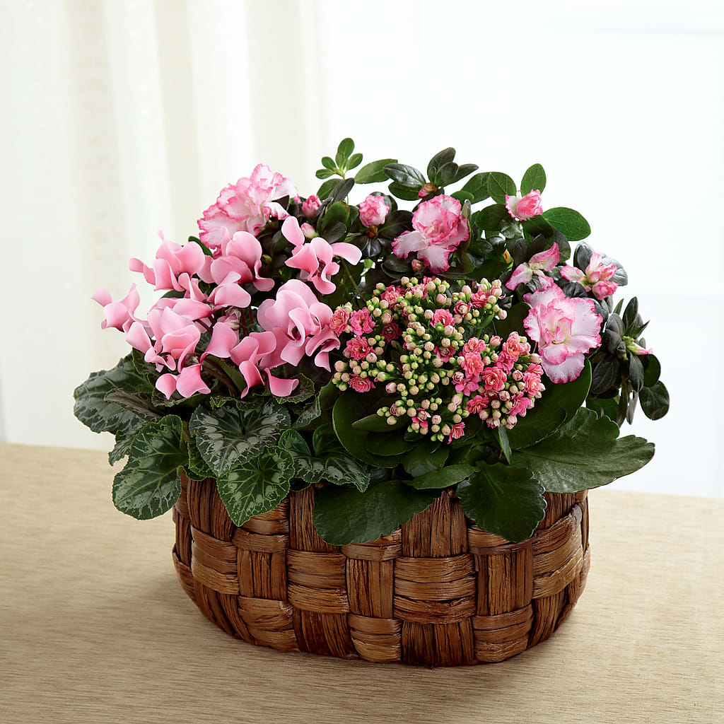 Pink Assortment – Ros-al Floral, Forest City PA
