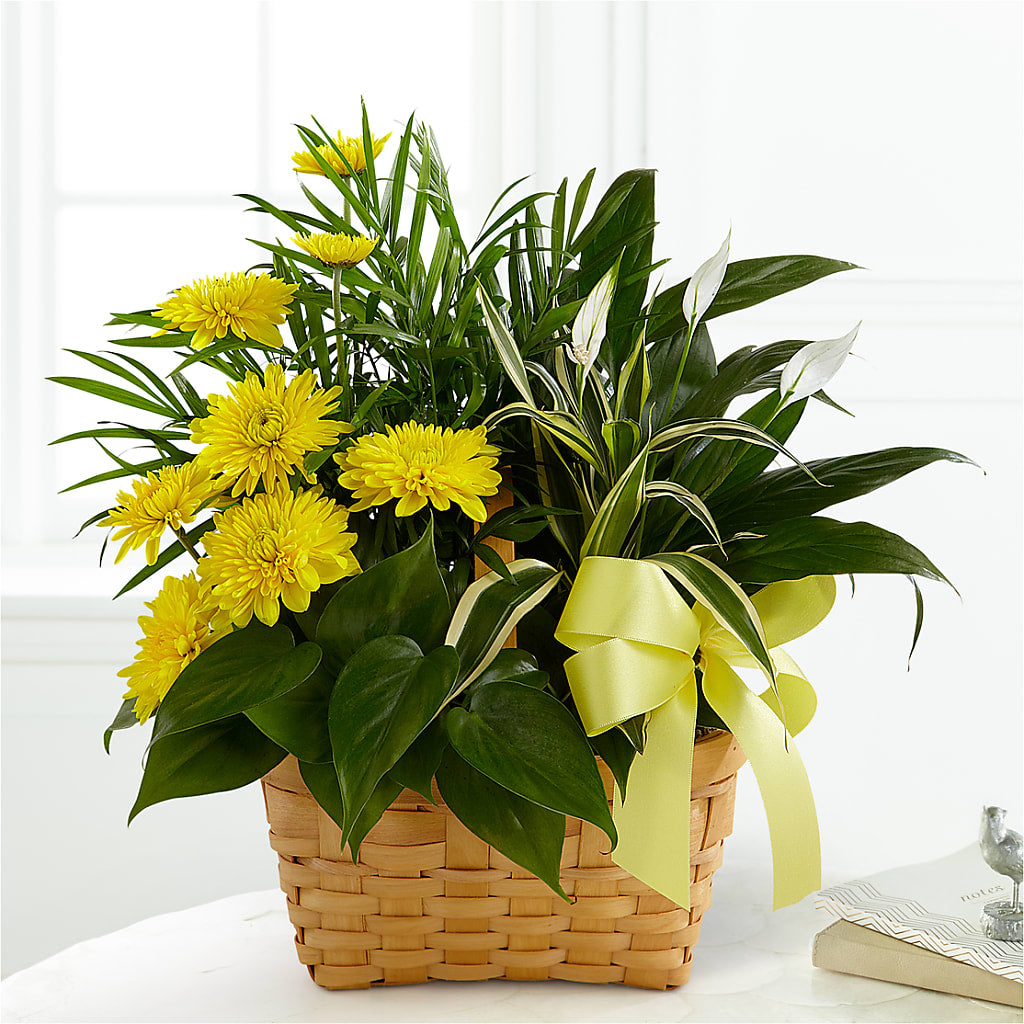Loving Light Dishgarden – Ros-al Floral, Forest City PA