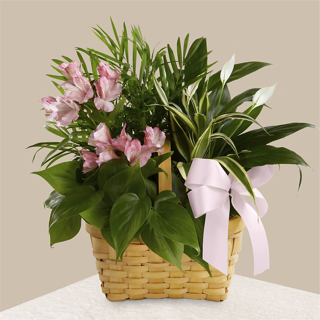 Living Spirit Dishgarden – Ros-al Floral, Forest City PA