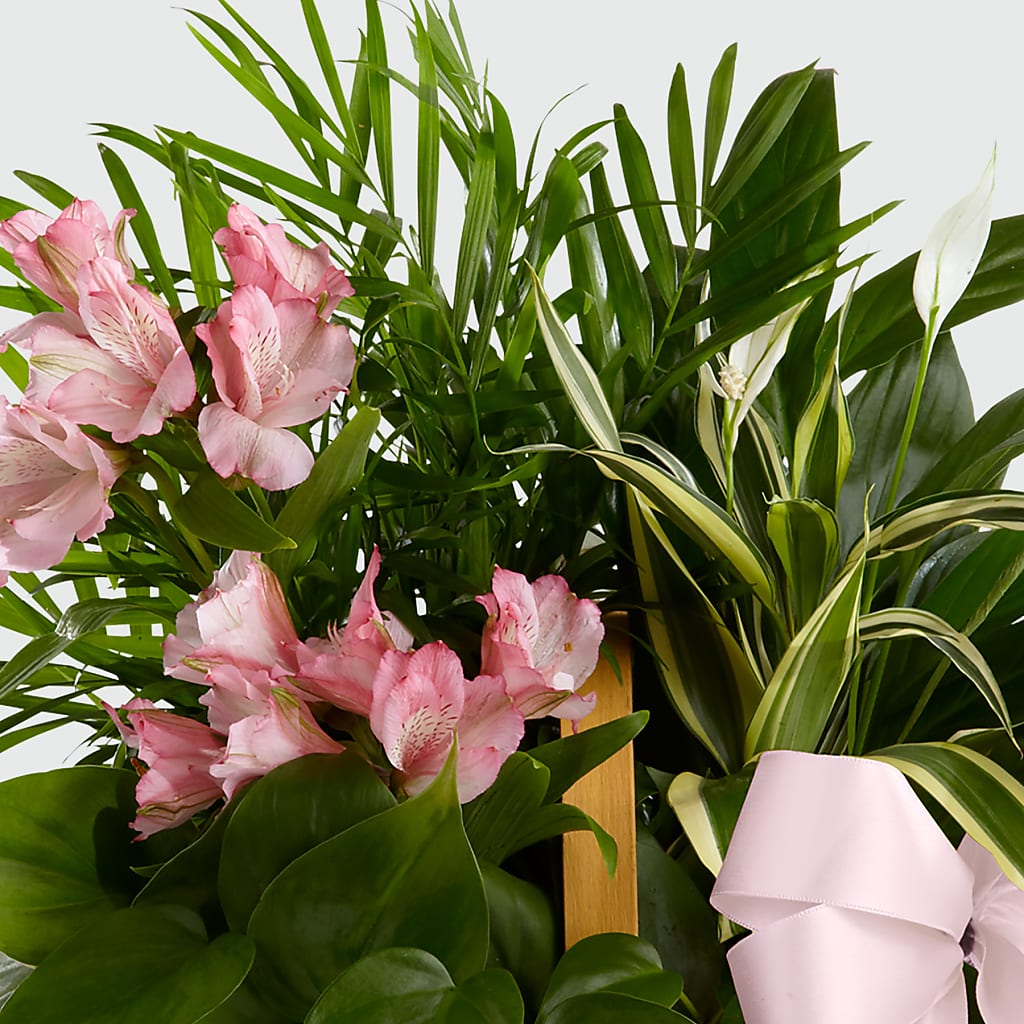 Living Spirit Dishgarden – Ros-al Floral, Forest City PA