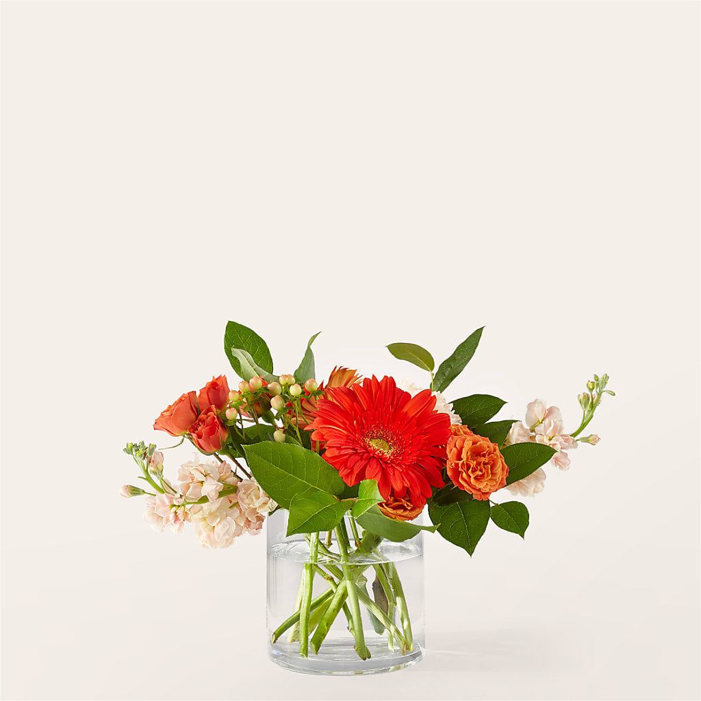 Paloma Please Bouquet – Ros-al Floral, Forest City PA
