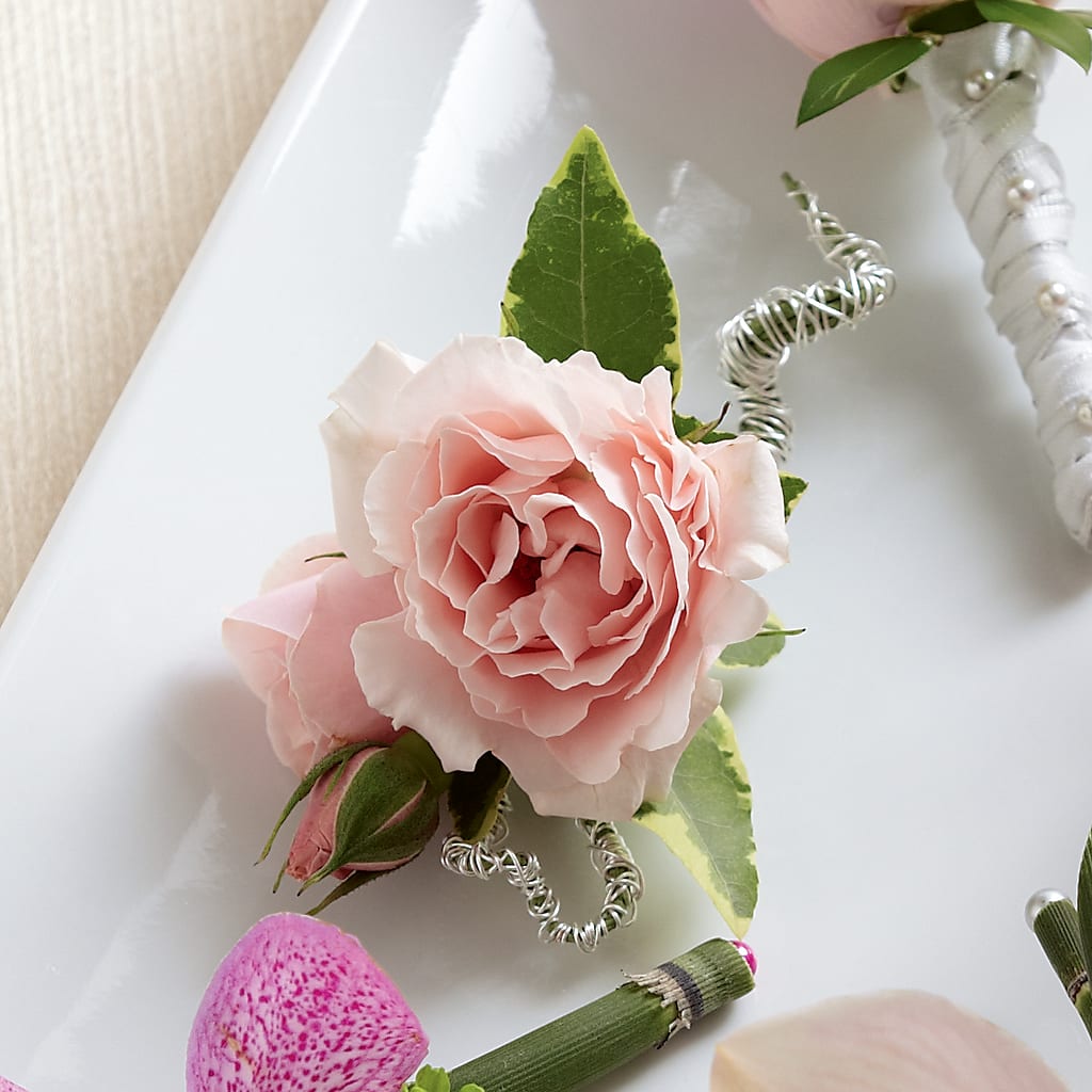 Pink Spray Rose Boutonniere – Ros-al Floral, Forest City PA