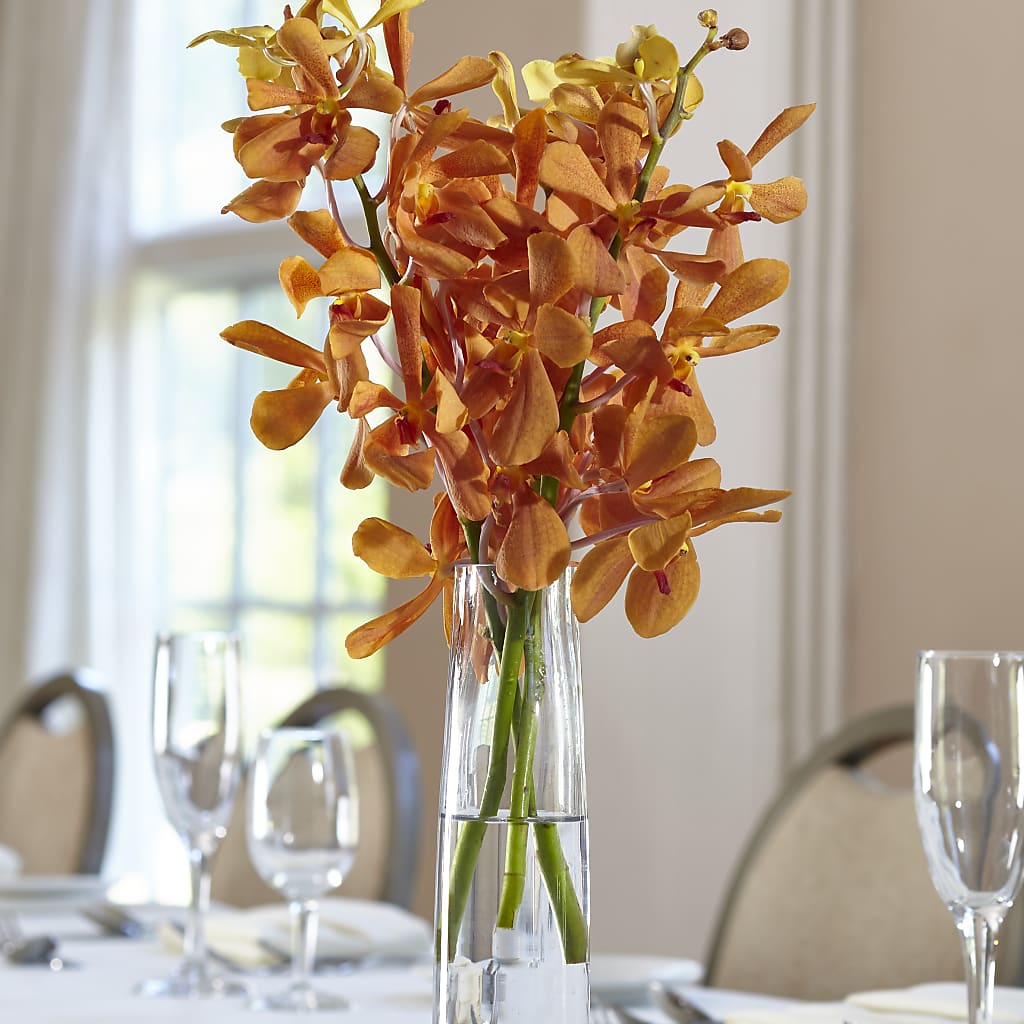 Orange Mokara Bud Vase – Ros-al Floral, Forest City PA