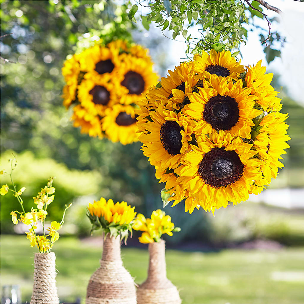 Sublime Garden Hanging Arrangement – Ros-al Floral, Forest City PA