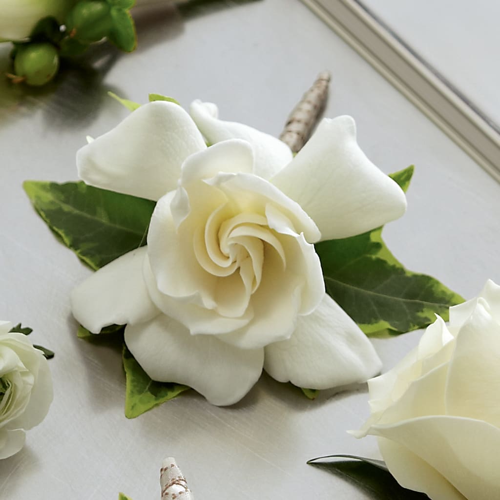 Gardenia Boutonniere – Ros-al Floral, Forest City PA