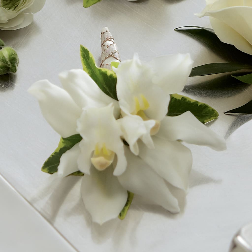 White Mini Cymbidium Boutonniere – Ros-al Floral, Forest City PA