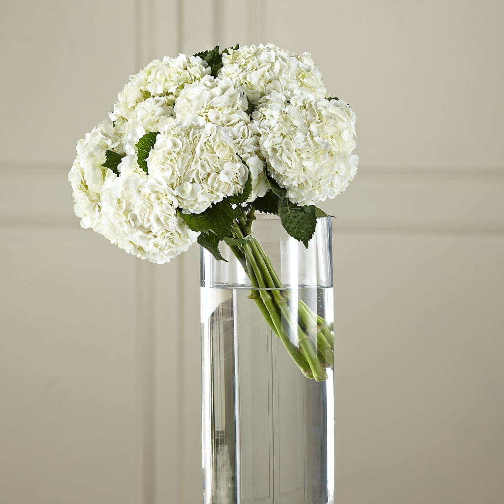 White Hydrangea Hand-Tied Bouquet – Ros-al Floral, Forest City PA