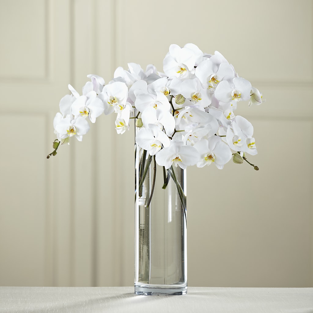 White Phalaenopsis Bouquet – Ros-al Floral, Forest City PA