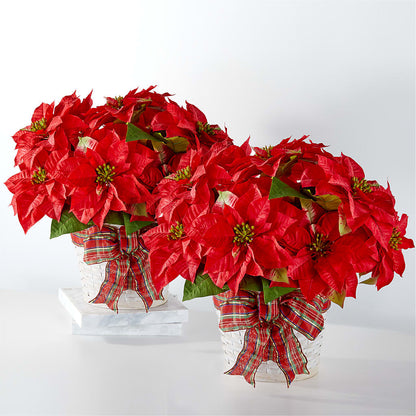 Happiest Holidays Poinsettia Bundle –  Ros-al Floral, Forest City PA