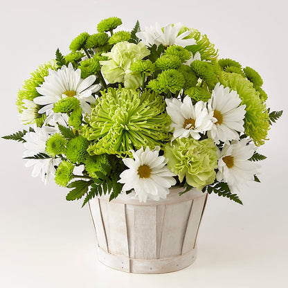 Lucky Charm Basket (Standard) –  Ros-al Floral, Forest City PA