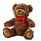 Adorable Plush Bear –  Ros-al Floral, Forest City PA