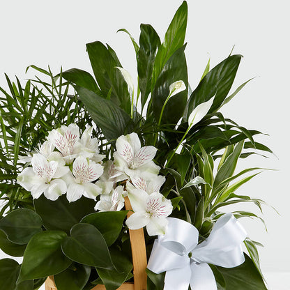 Peace & Serenity Dishgarden –  Ros-al Floral, Forest City PA