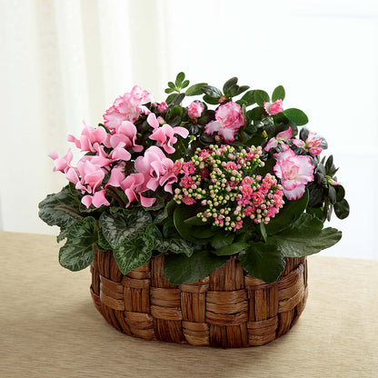Pink Assortment –  Ros-al Floral, Forest City PA