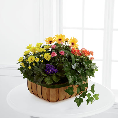 Gentle Blossoms Basket –  Ros-al Floral, Forest City PA