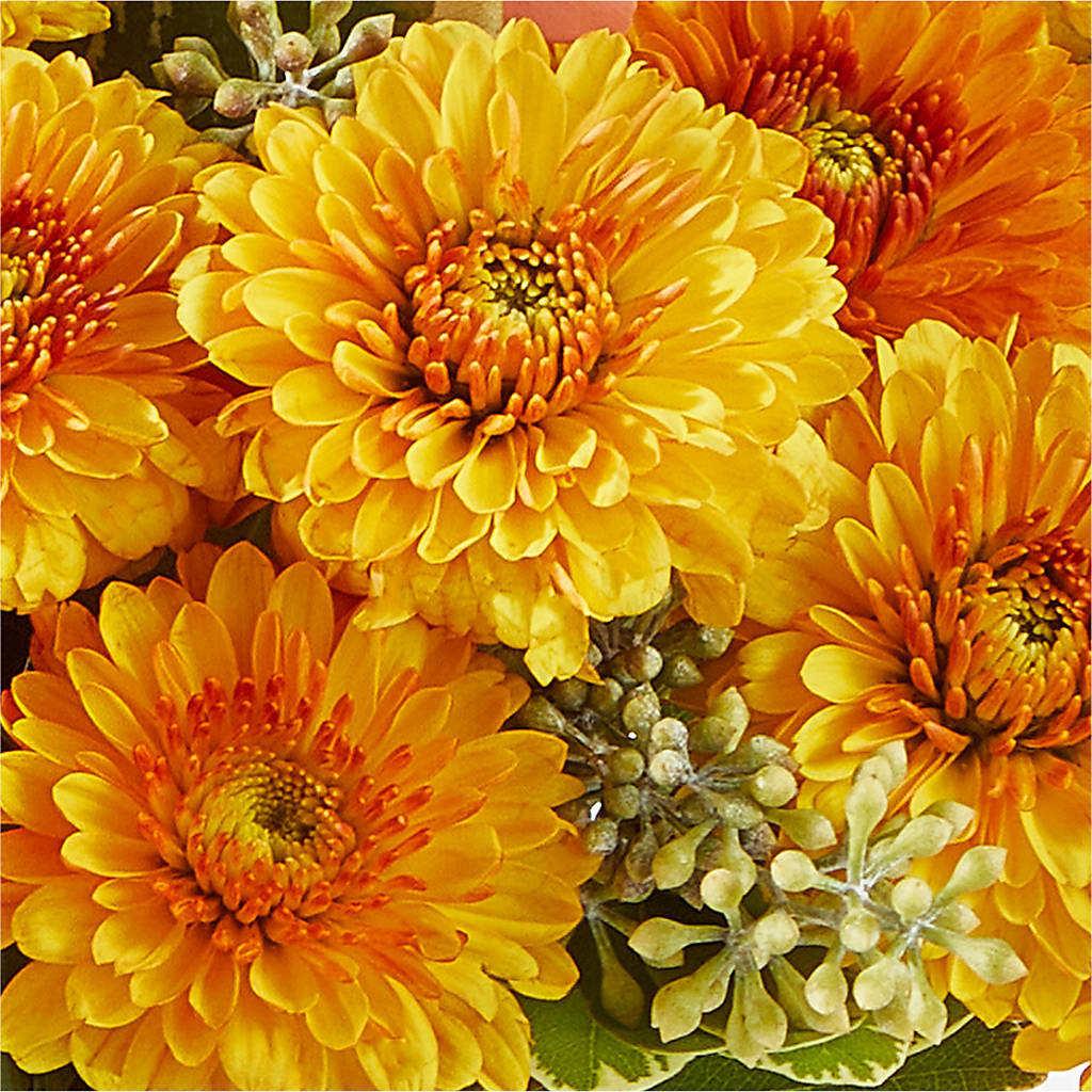 Peachy Pumpkin –  Ros-al Floral, Forest City PA