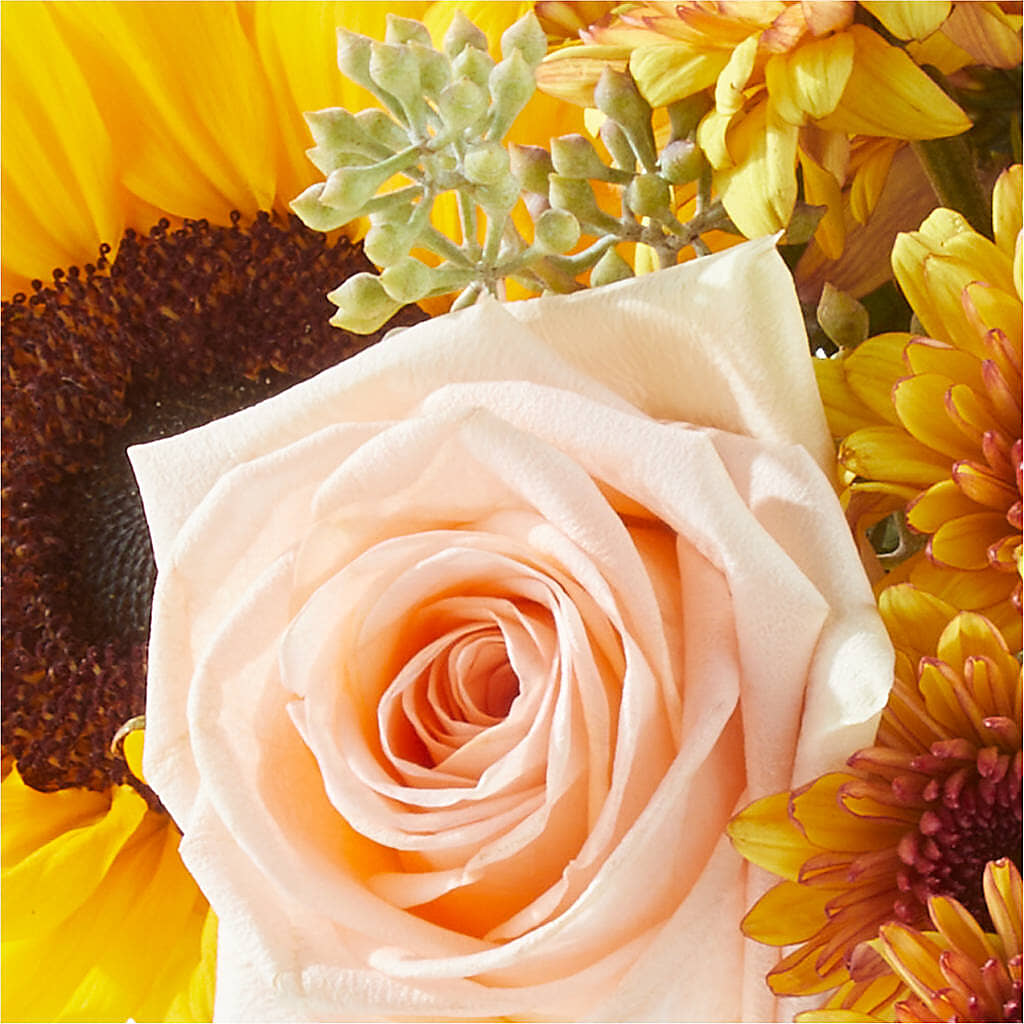 Pumpkin to Talk About Bouquet –  Ros-al Floral, Forest City PA