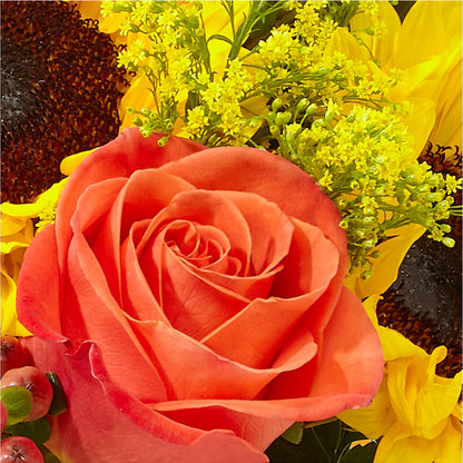 Pick of the Patch Pumpkin Bouquet –  Ros-al Floral, Forest City PA