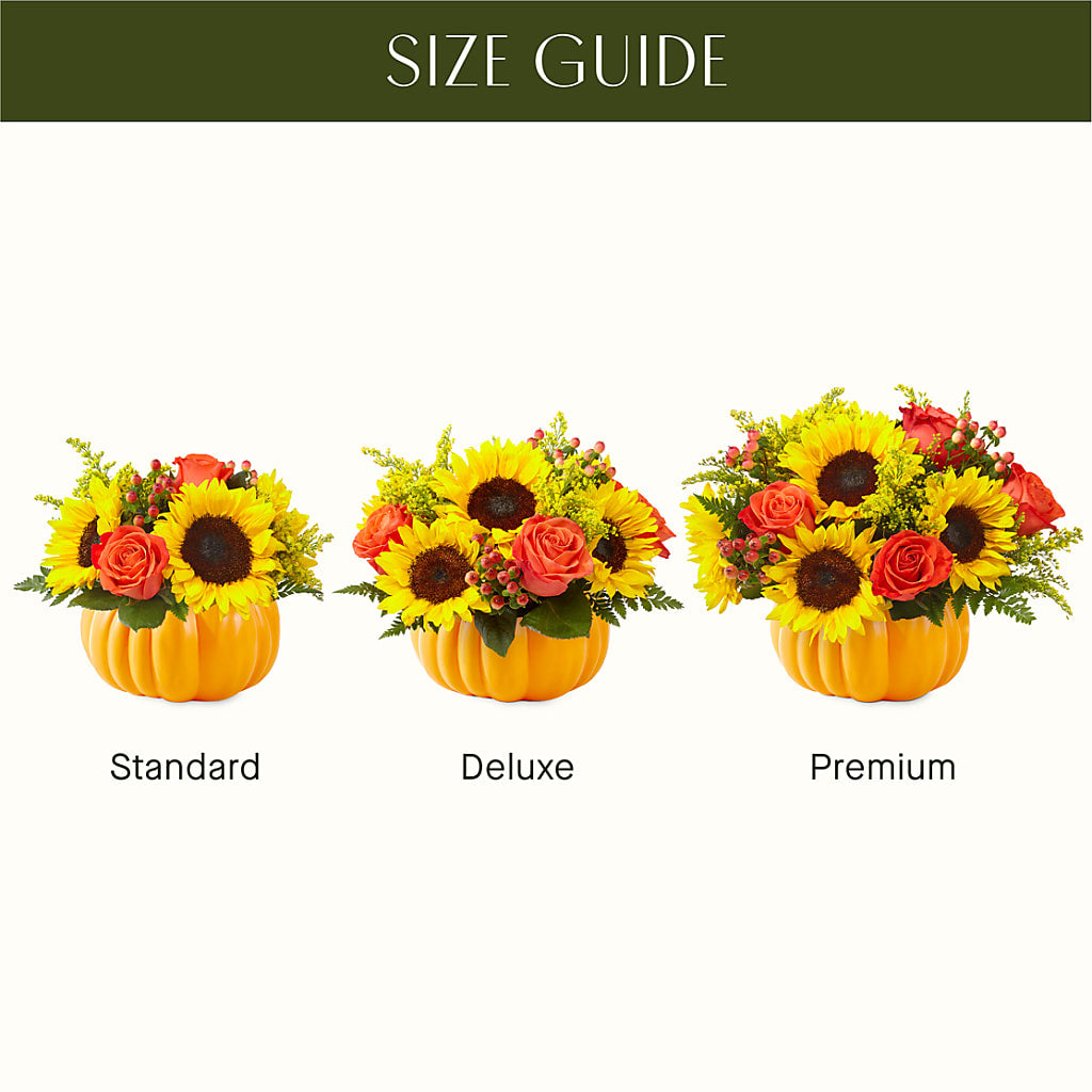 Pick of the Patch Pumpkin Bouquet –  Ros-al Floral, Forest City PA