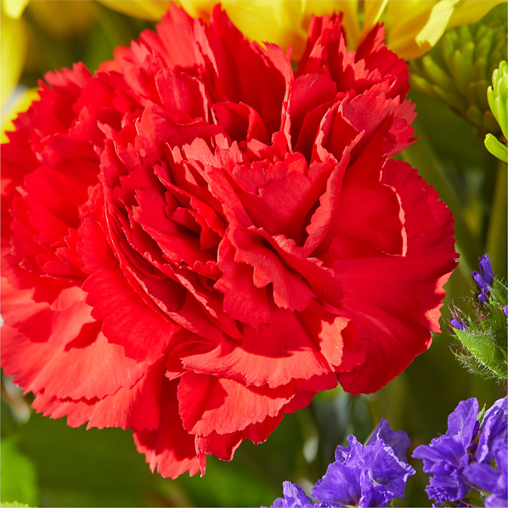 Brighter Days Bouquet –  Ros-al Floral, Forest City PA