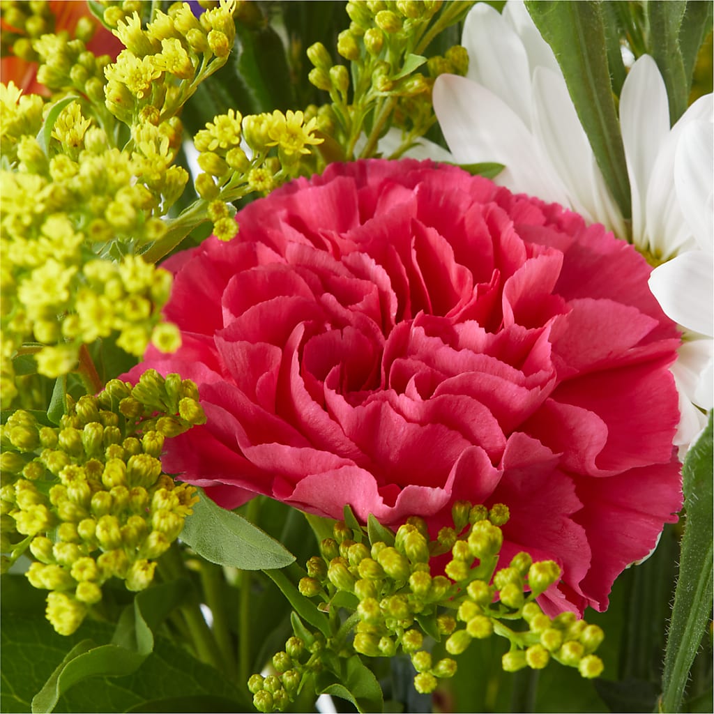 Oopsie Daisy Bouquet –  Ros-al Floral, Forest City PA