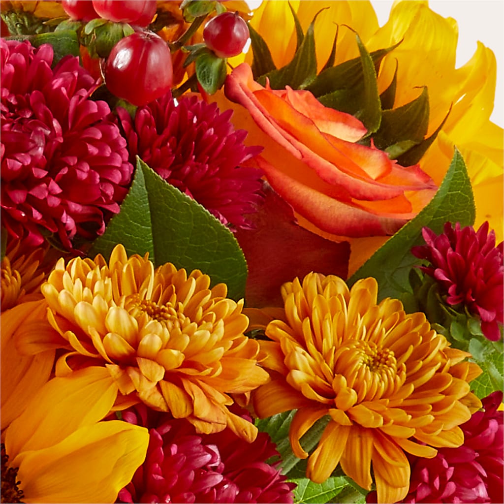 Sweater Season - A Florist Original –  Ros-al Floral, Forest City PA