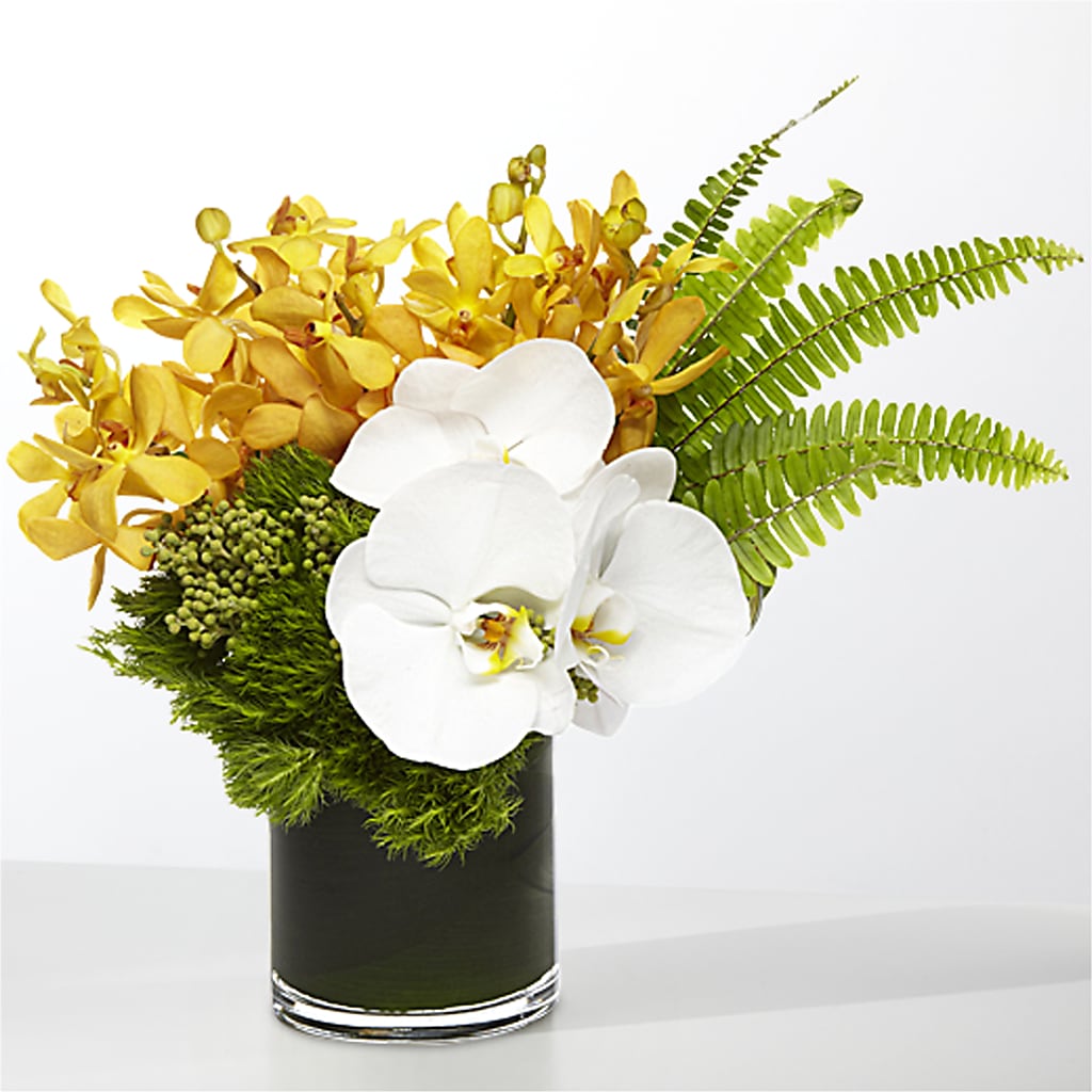 The Tropics –  Ros-al Floral, Forest City PA