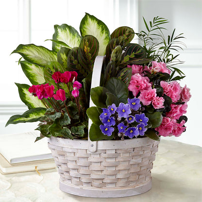 Peaceful Garden Planter –  Ros-al Floral, Forest City PA