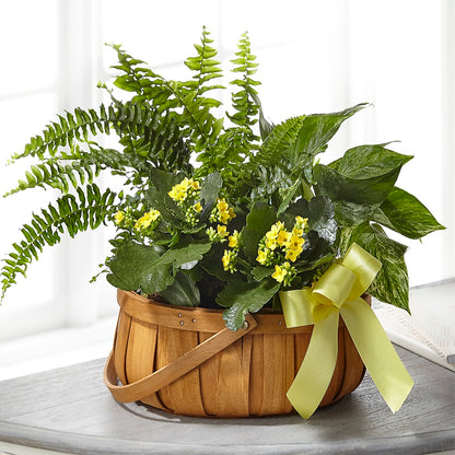 Always Dear Dishgarden –  Ros-al Floral, Forest City PA
