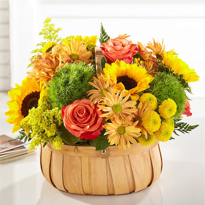 Harvest Sunflower Basket –  Ros-al Floral, Forest City PA