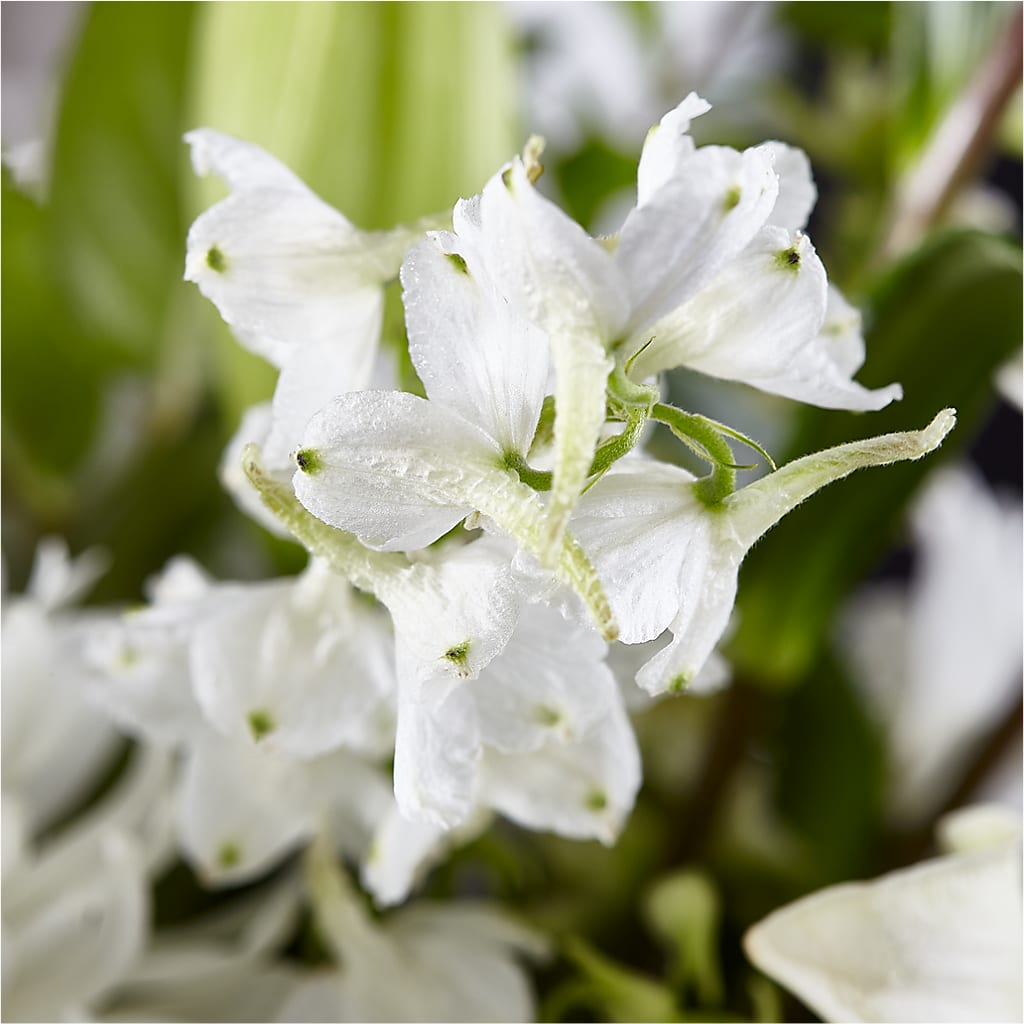 Classic Ivory – A Florist Original –  Ros-al Floral, Forest City PA