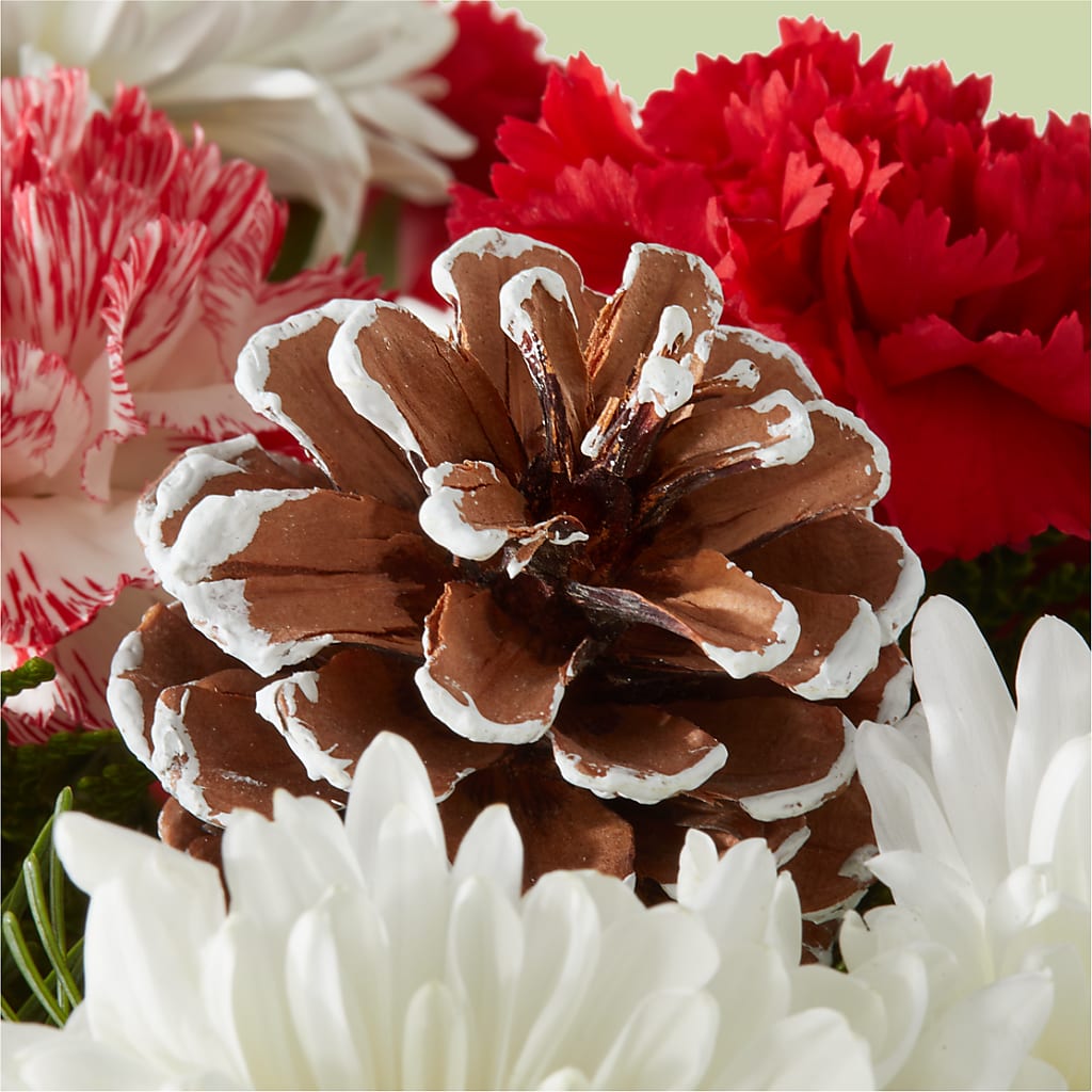 Candy Cane Lane Bouquet –  Ros-al Floral, Forest City PA