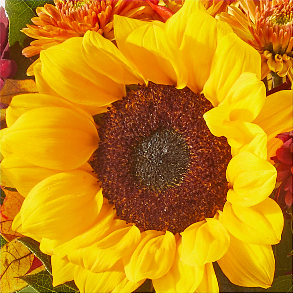Sunny Side Bouquet –  Ros-al Floral, Forest City PA