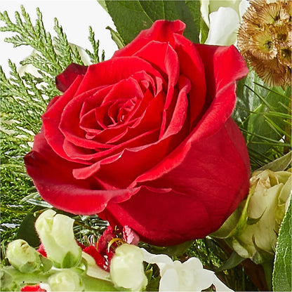 Deck the Halls Bouquet –  Ros-al Floral, Forest City PA