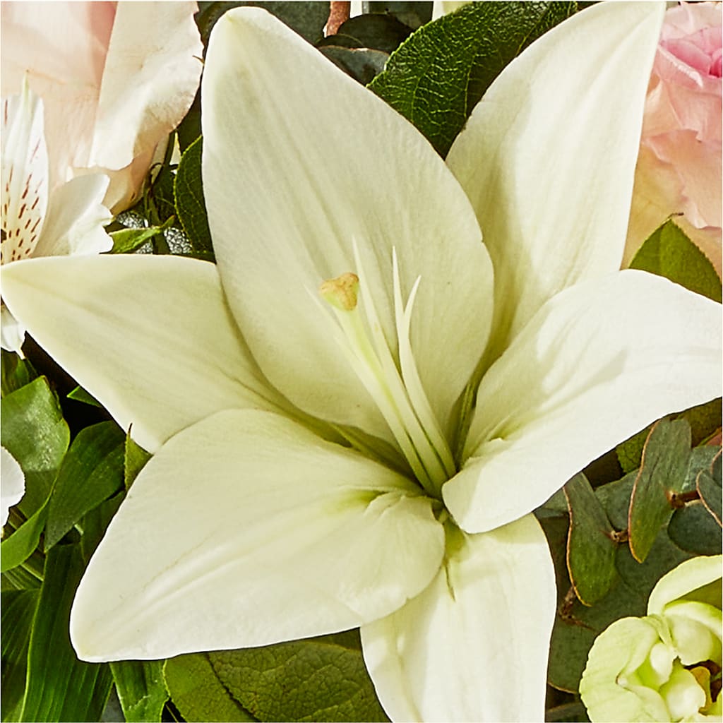 Ballet Slippers Bouquet –  Ros-al Floral, Forest City PA