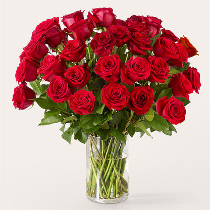The One Red Rose Bouquet –  Ros-al Floral, Forest City PA